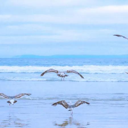 Horská chata Tiny House In Ons Tuintje - Aan Zee
