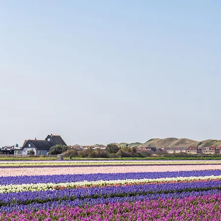 Tiny House In Ons Tuintje - Aan Zee * Callantsoog