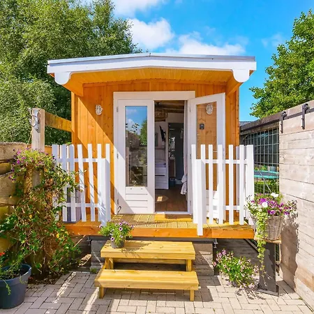 Tiny House In Ons Tuintje - Aan Zee Chalet