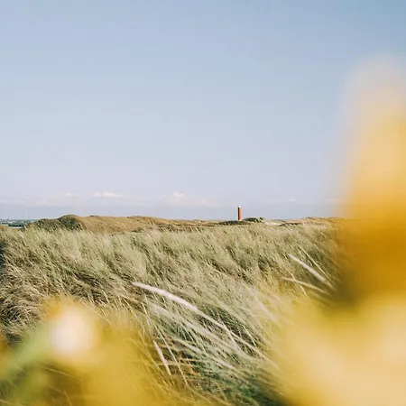 Alpstuga Tiny House In Ons Tuintje - Aan Zee *